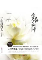 看b站直播红楼直播c