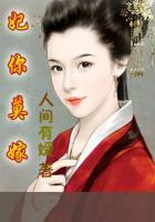 陛下您把娘娘送敌国了