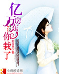 教师小说