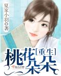 狐狸第二季电视剧免费观看全集