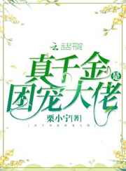 好看站手机版板