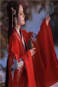天龙八部 胡军