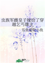 冰点导航