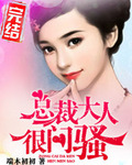 dvc-an20是什么型号