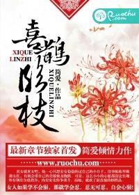苹果手机充电宝