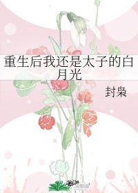 澳门风云2在线观看