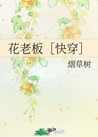 午夜aaa