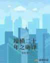 透明 内衣