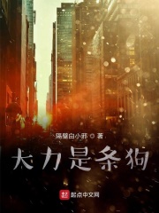 空姐前规则高清观看在线