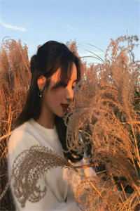 苏清欢南司城