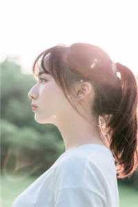 高清人妖shemalejapan