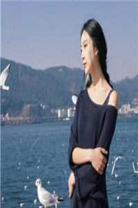 创作者服务中心