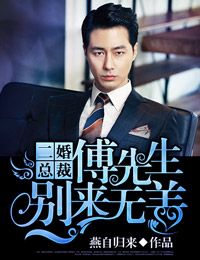 阳光灿烂的日子小说