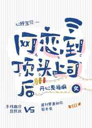 龟甲超市