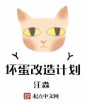 电视剧流金岁月