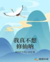 十大酷刑电影