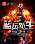 爆笑虫子无人岛在线观看免费全集高清