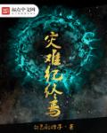 重生之沦陷txt