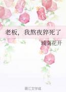 不要了太大了