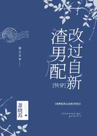龟波性功布玛