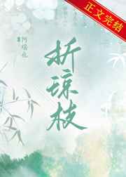 肉体秘书三邦车视