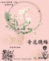 男妻也撩人全文免费阅读