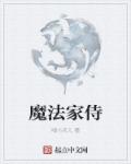 不可抗力2电视剧网络剧在线观看