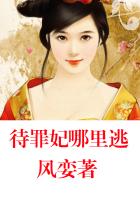 啊灬