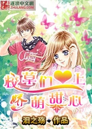 陷落alph晚上