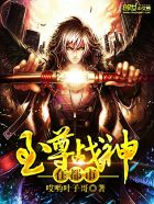 flashplayer11