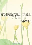 仓井空电影在线观看