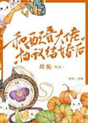 爱情公寓之情圣