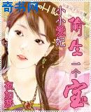 混蛋神风流史小说