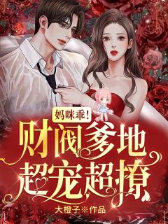 chatroulette中文版
