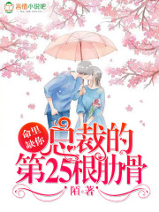 张柏芝黑森林图片