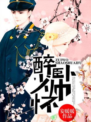 家庭乱来小说