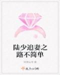 云顶之弈S4