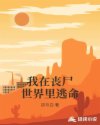 鲁西南战役