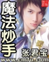 卫星电视网