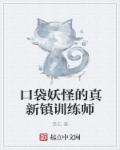 韩国情事2024