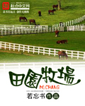 小说官场风流
