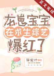 茄子直播平台