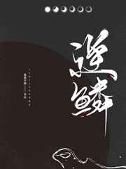 2024手机理论免费观看