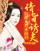 动画h
