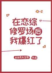 风筝 影子