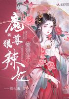 办公室与秘书亲吻视频