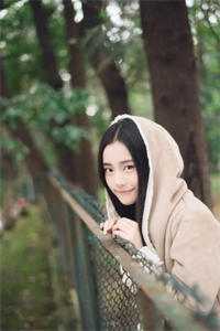 黑道风云二十年电视剧在线