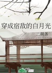 老妈子