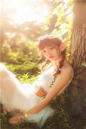 花落花开