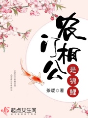 好看的理论动漫在线